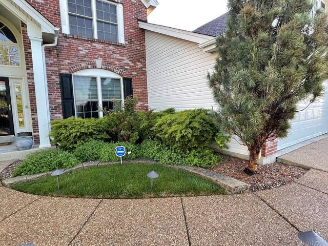 Curved front bed with shrubs and path lights